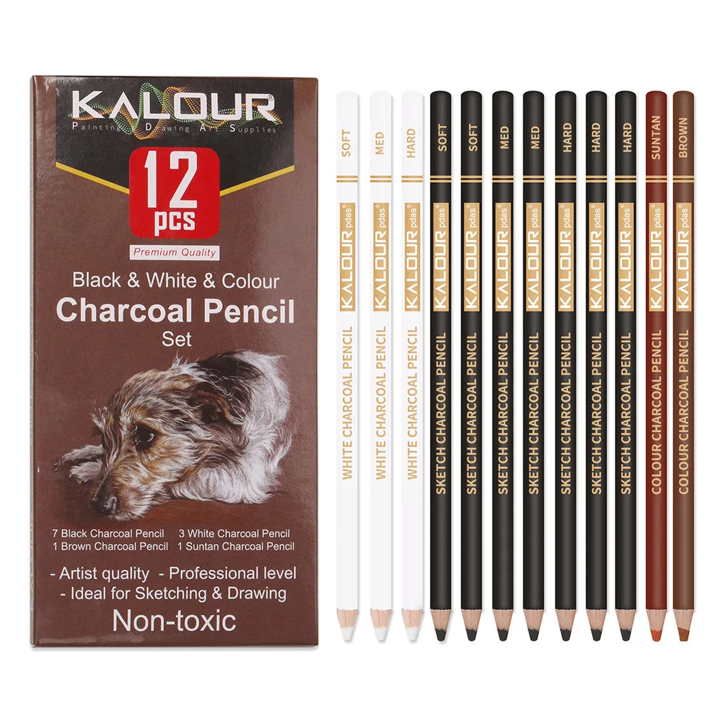 KALOUR 6/12 Carbon Pencil Professional White Charcoal Highlight Pencil White/Black/Colour Carbon Sketch Pencil Art Drawing Tools